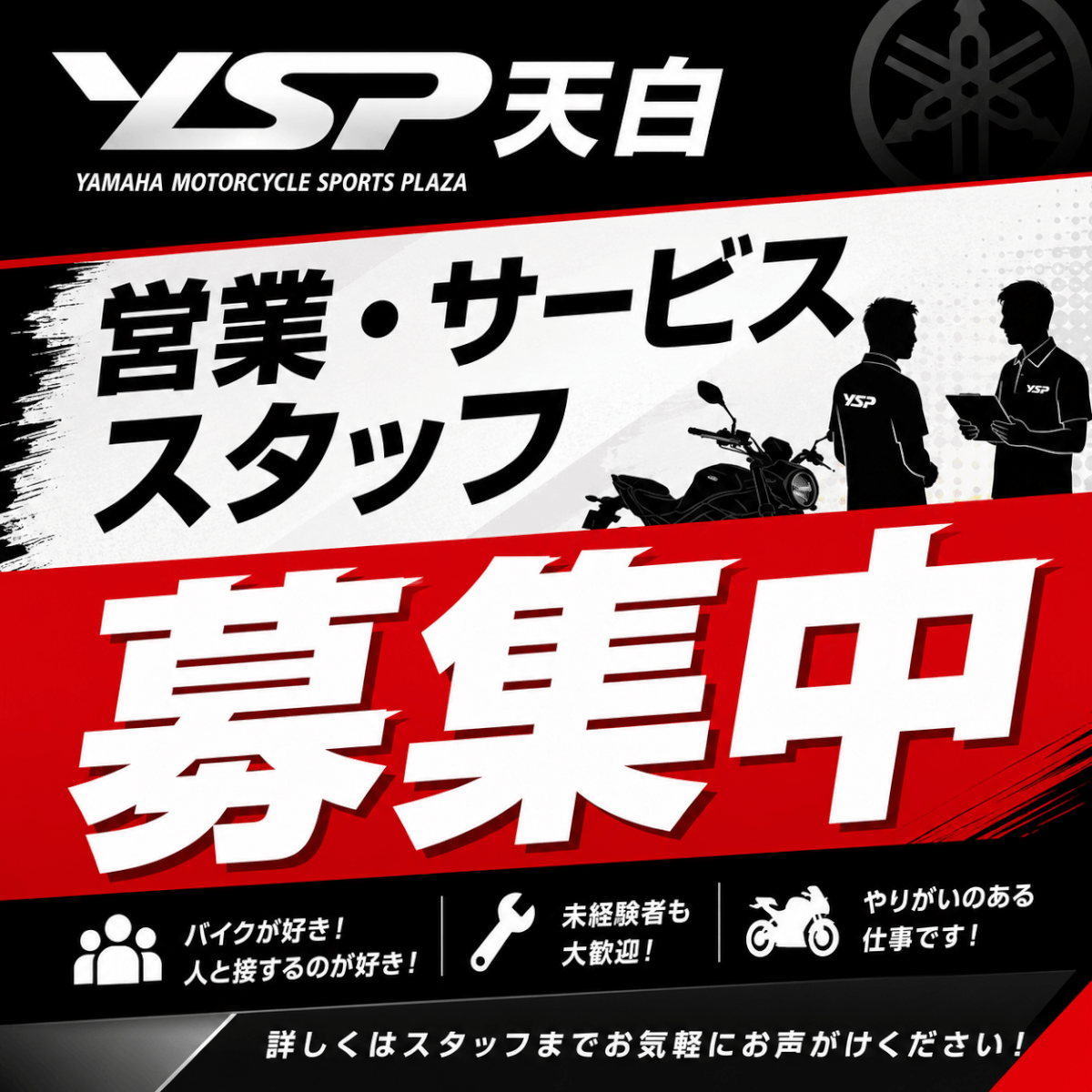 YSP天白